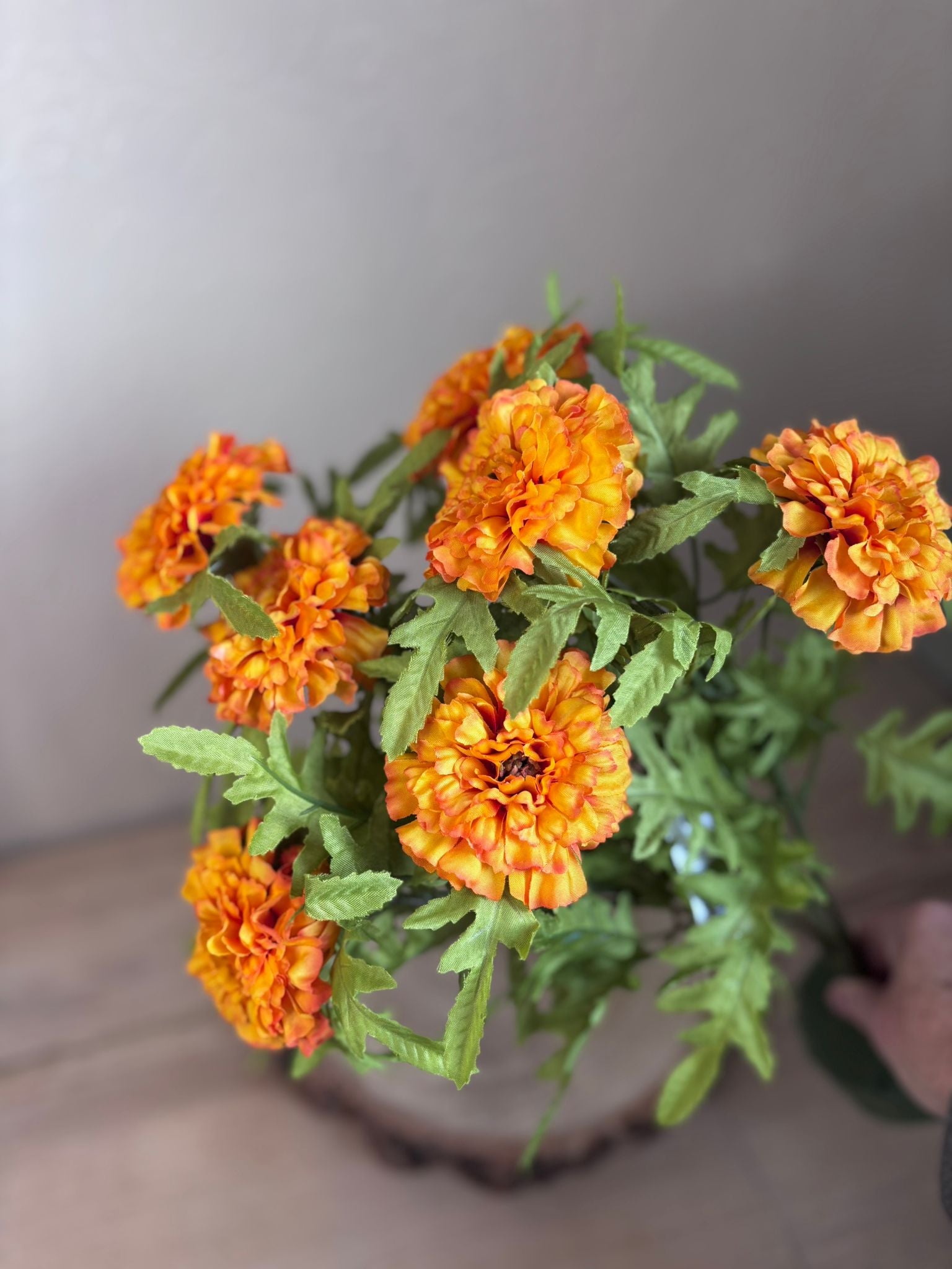 Marigold bush