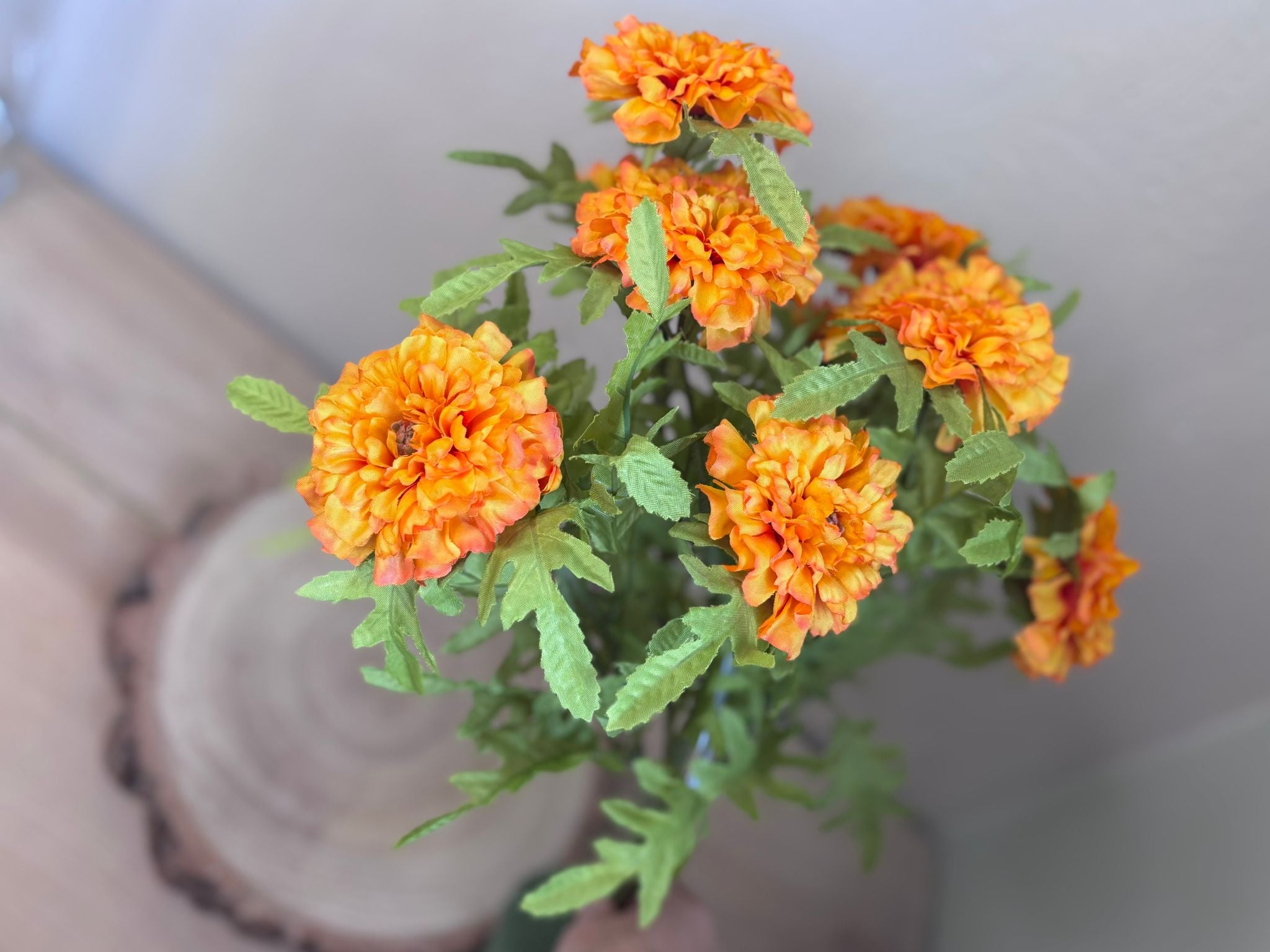 Marigold bush